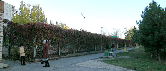 Универсальный спортивный объект в "Семейном парке".
Летом теннисный корт, зимой каток.  г.Волгоград